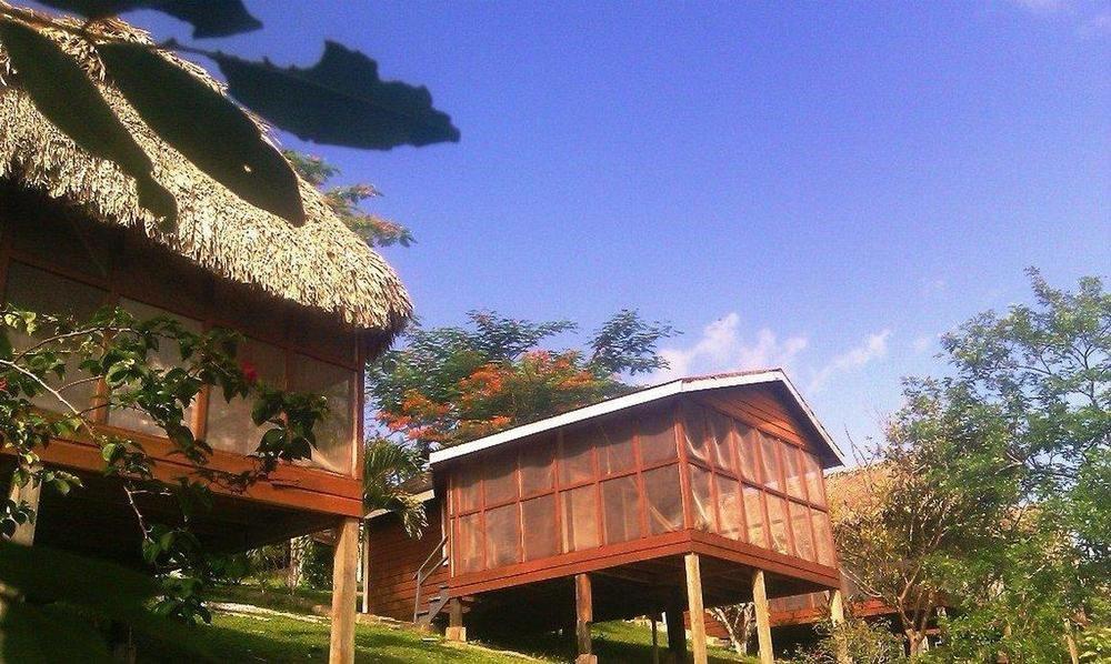 Cahal Pech Village Resort San Ignacio Wyposażenia zdjęcie